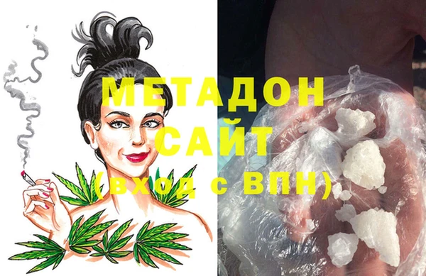 прущие грибы Балахна