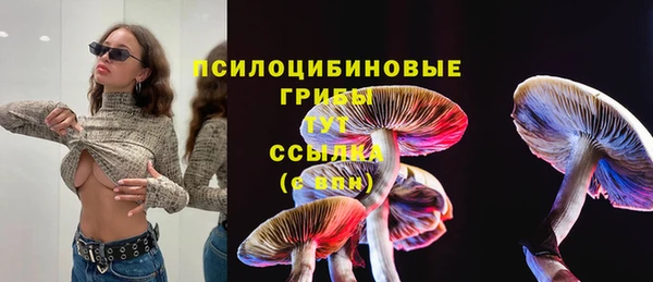 прущие грибы Балахна