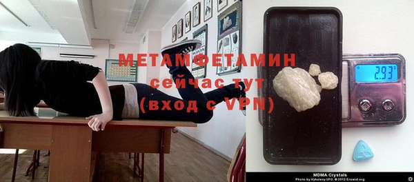 прущие грибы Балахна