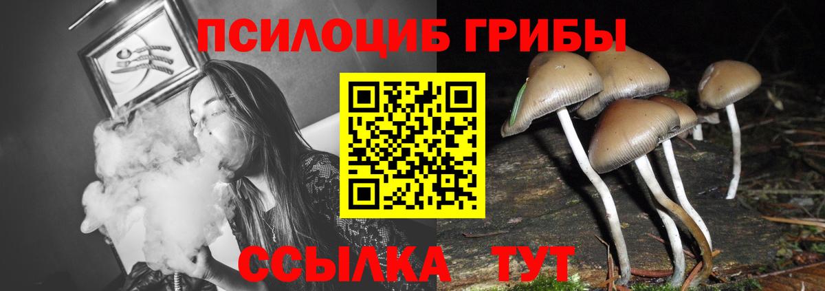 Галлюциногенные грибы Psilocybine cubensis  Вход с VPN  Псилоцибиновые грибы Psilocybe  Нерюнгри 